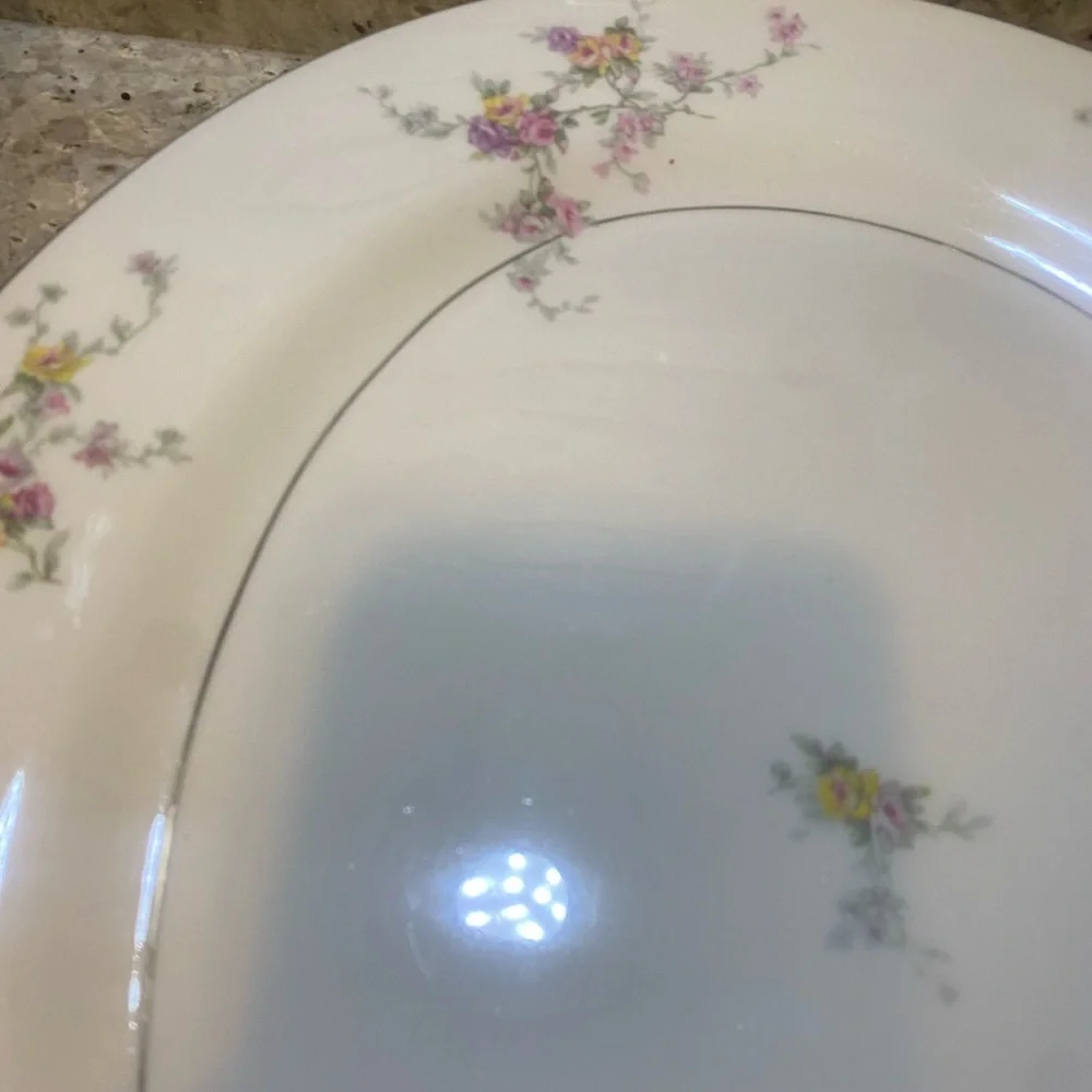 Vintage Theodore Haviland “‎ Gloria “ 16” Platter With Juice Catcher